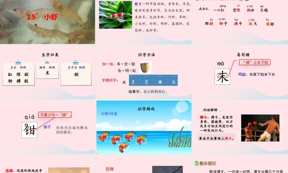 三年级语文下册 第四单元 15 小虾课件 新人教版-新人教级下册语文课件
