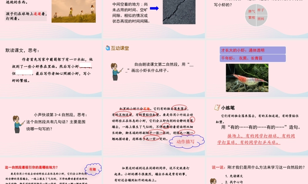 三年级语文下册 第四单元 15 小虾课件 新人教版-新人教级下册语文课件