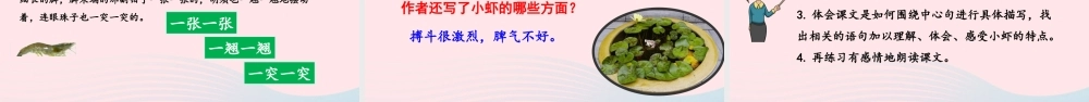 三年级语文下册 第四单元 15 小虾课件 新人教版-新人教级下册语文课件