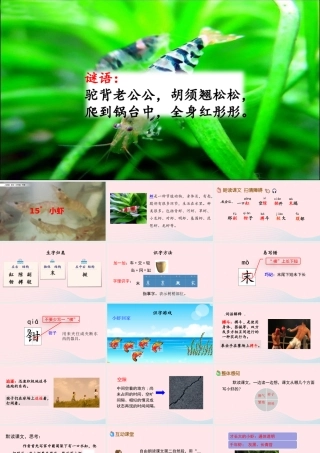 三年级语文下册 第四单元 15 小虾课件 新人教版-新人教级下册语文课件