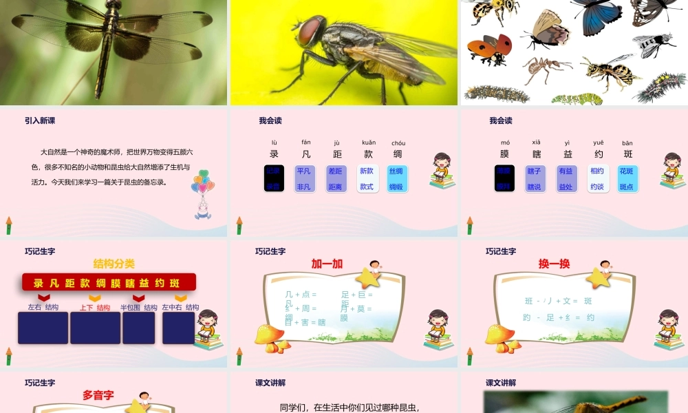 三年级语文下册 第一单元 4 昆虫备忘录课件2 新人教版-新人教版小学三年级下册语文课件
