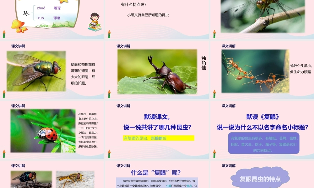 三年级语文下册 第一单元 4 昆虫备忘录课件2 新人教版-新人教版小学三年级下册语文课件
