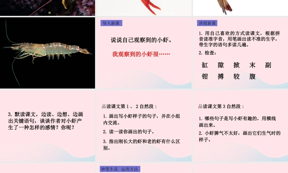 三年级语文下册 第四单元 15 小虾课件1 新人教版-新人教版小学三年级下册语文课件