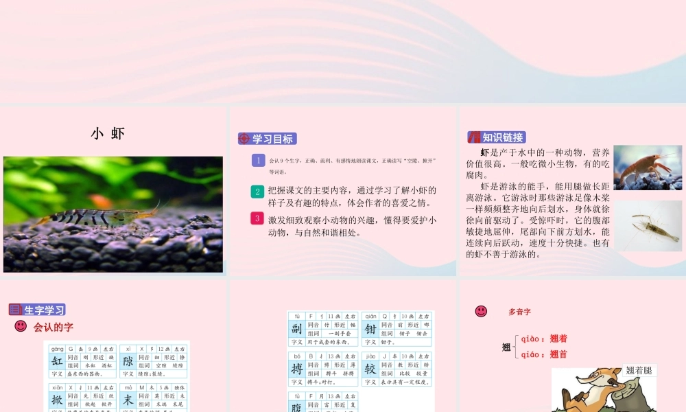 三年级语文下册 第四单元 15 小虾课件2 新人教版-新人教版小学三年级下册语文课件