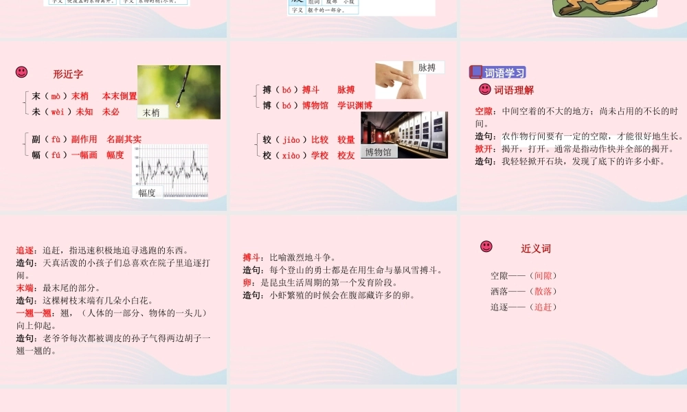 三年级语文下册 第四单元 15 小虾课件2 新人教版-新人教版小学三年级下册语文课件