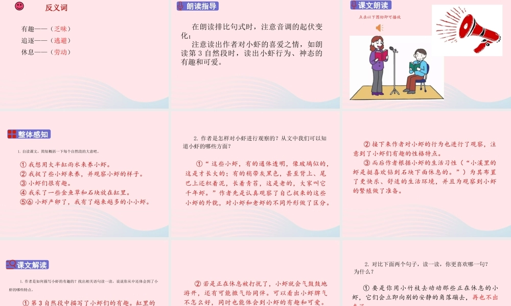 三年级语文下册 第四单元 15 小虾课件2 新人教版-新人教版小学三年级下册语文课件