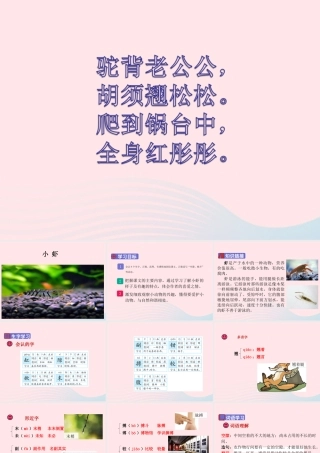 三年级语文下册 第四单元 15 小虾课件2 新人教版-新人教版小学三年级下册语文课件