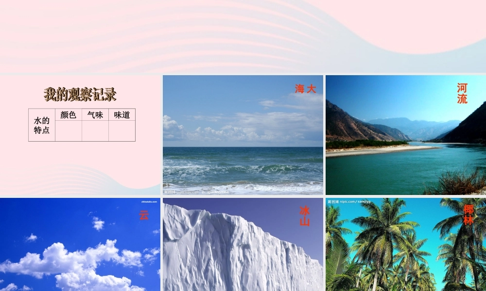 二年级生活与科技下册 3.3《认识水》课件（1） 新人教版-新人教版小学二年级下册自然科学课件