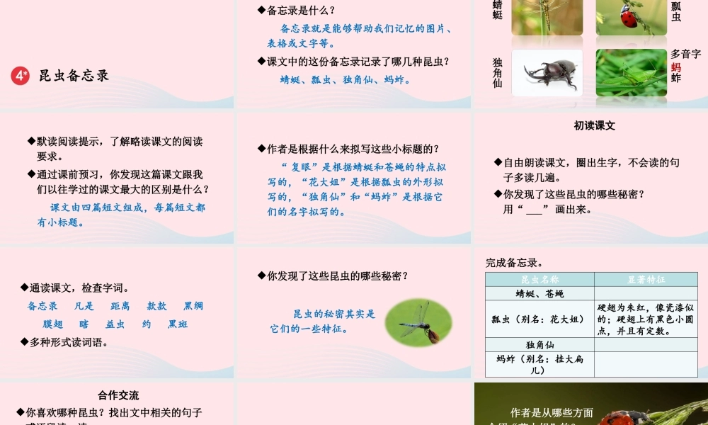 三年级语文下册 第一单元 4《昆虫备忘录》教学课件 新人教版-新人教版小学三年级下册语文课件