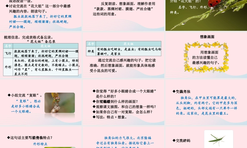 三年级语文下册 第一单元 4《昆虫备忘录》教学课件 新人教版-新人教版小学三年级下册语文课件