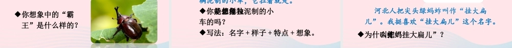 三年级语文下册 第一单元 4《昆虫备忘录》教学课件 新人教版-新人教版小学三年级下册语文课件