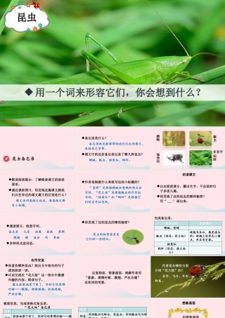三年级语文下册 第一单元 4《昆虫备忘录》教学课件 新人教版-新人教版小学三年级下册语文课件