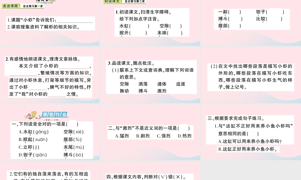 三年级语文下册 第四单元 15 小虾习题课件 新人教版-新人教版小学三年级下册语文课件