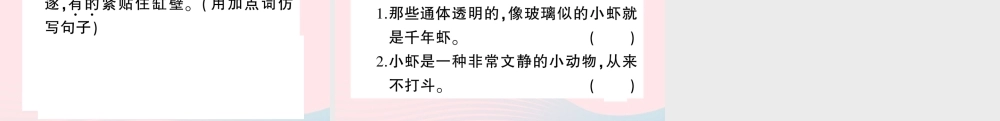 三年级语文下册 第四单元 15 小虾习题课件 新人教版-新人教版小学三年级下册语文课件
