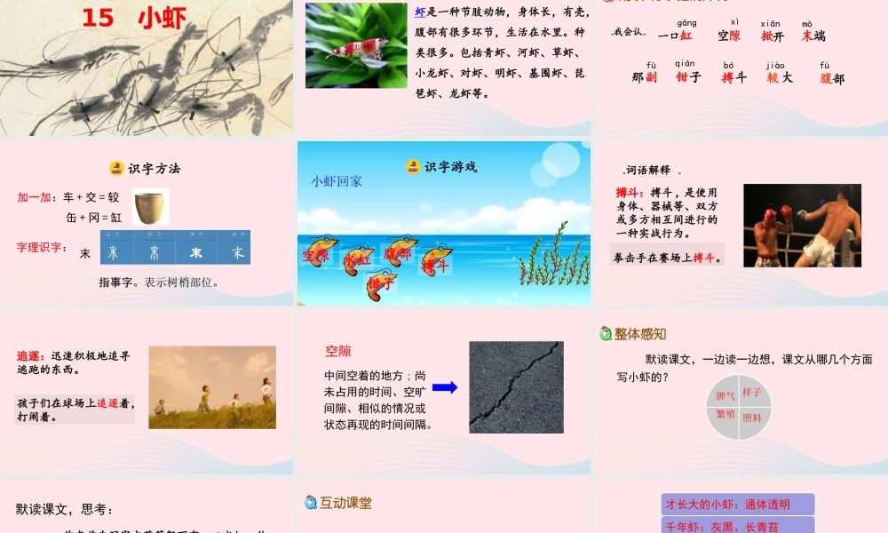 三年级语文下册 第四单元 15《小虾》教学课件 新人教版-新人教版小学三年级下册语文课件