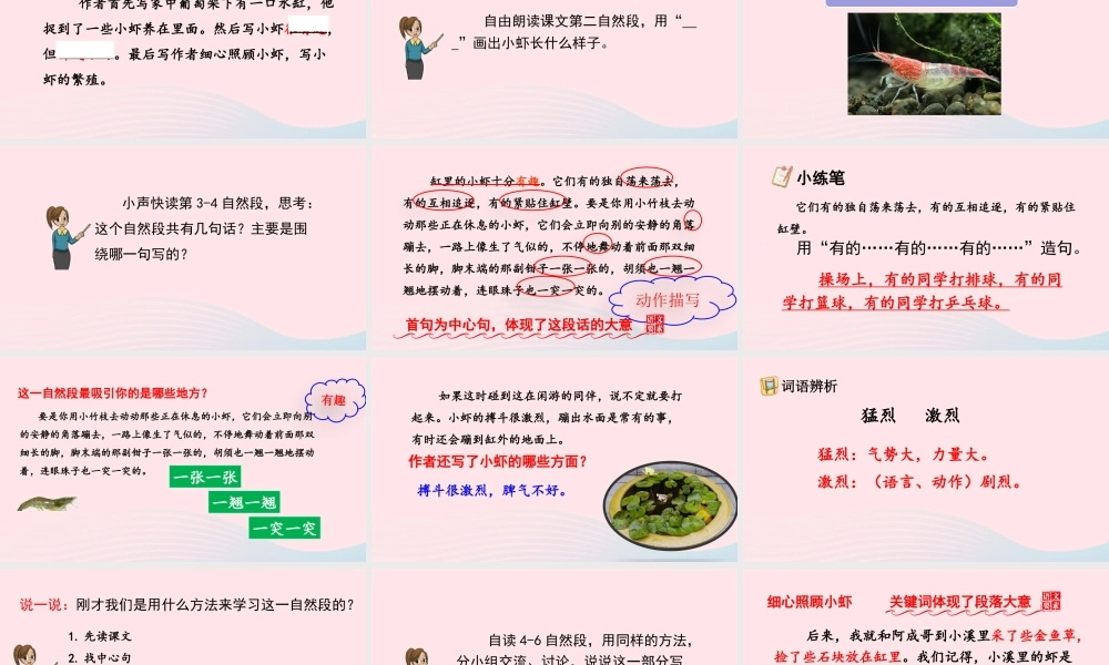 三年级语文下册 第四单元 15《小虾》教学课件 新人教版-新人教版小学三年级下册语文课件