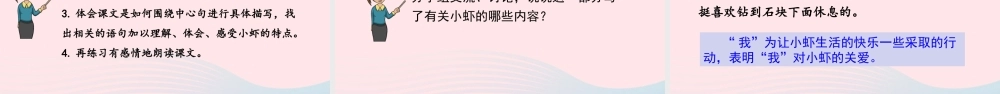 三年级语文下册 第四单元 15《小虾》教学课件 新人教版-新人教版小学三年级下册语文课件