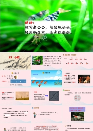三年级语文下册 第四单元 15《小虾》教学课件 新人教版-新人教版小学三年级下册语文课件