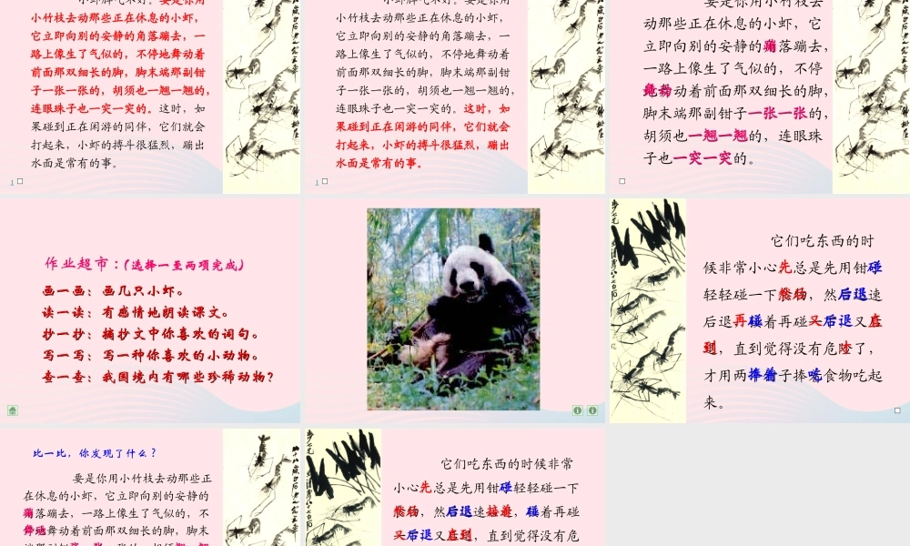 三年级语文下册 第四单元 15《小虾》课件 新人教版-新人教版小学三年级下册语文课件