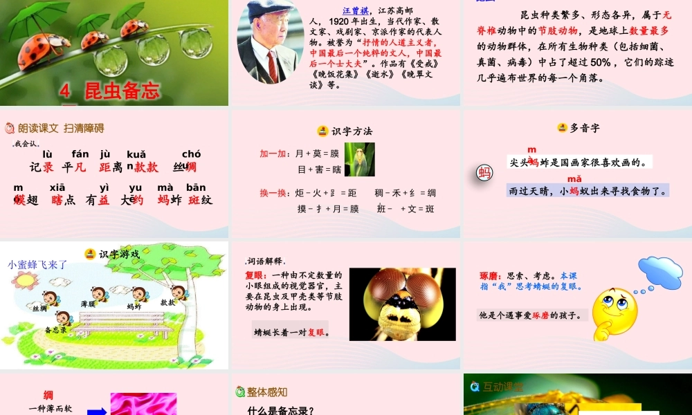 三年级语文下册 第一单元 4《昆虫备忘录》教学课件 新人教版-新人教级下册语文课件