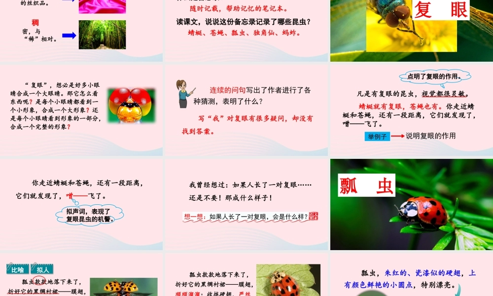 三年级语文下册 第一单元 4《昆虫备忘录》教学课件 新人教版-新人教级下册语文课件