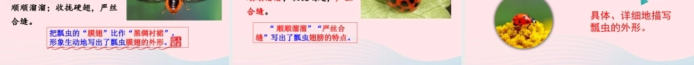 三年级语文下册 第一单元 4《昆虫备忘录》教学课件 新人教版-新人教级下册语文课件