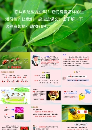 三年级语文下册 第一单元 4《昆虫备忘录》教学课件 新人教版-新人教级下册语文课件