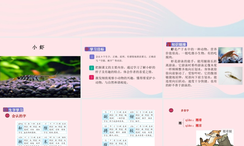 三年级语文下册 第四单元 15《小虾》课堂教学课件 新人教版-新人教版小学三年级下册语文课件