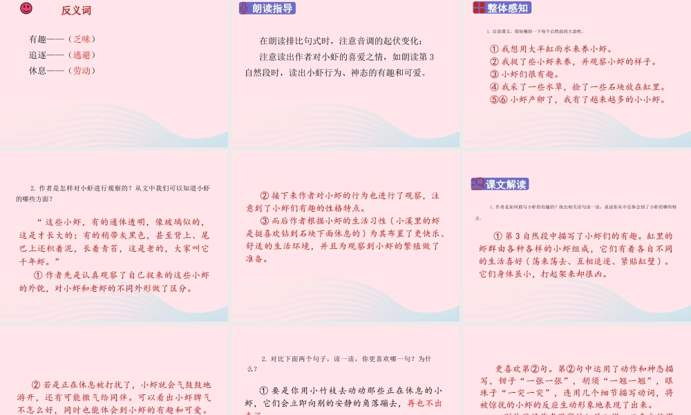 三年级语文下册 第四单元 15《小虾》课堂教学课件 新人教版-新人教版小学三年级下册语文课件