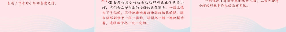 三年级语文下册 第四单元 15《小虾》课堂教学课件 新人教版-新人教版小学三年级下册语文课件