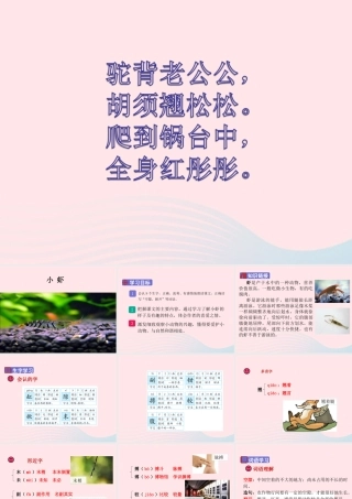 三年级语文下册 第四单元 15《小虾》课堂教学课件 新人教版-新人教版小学三年级下册语文课件
