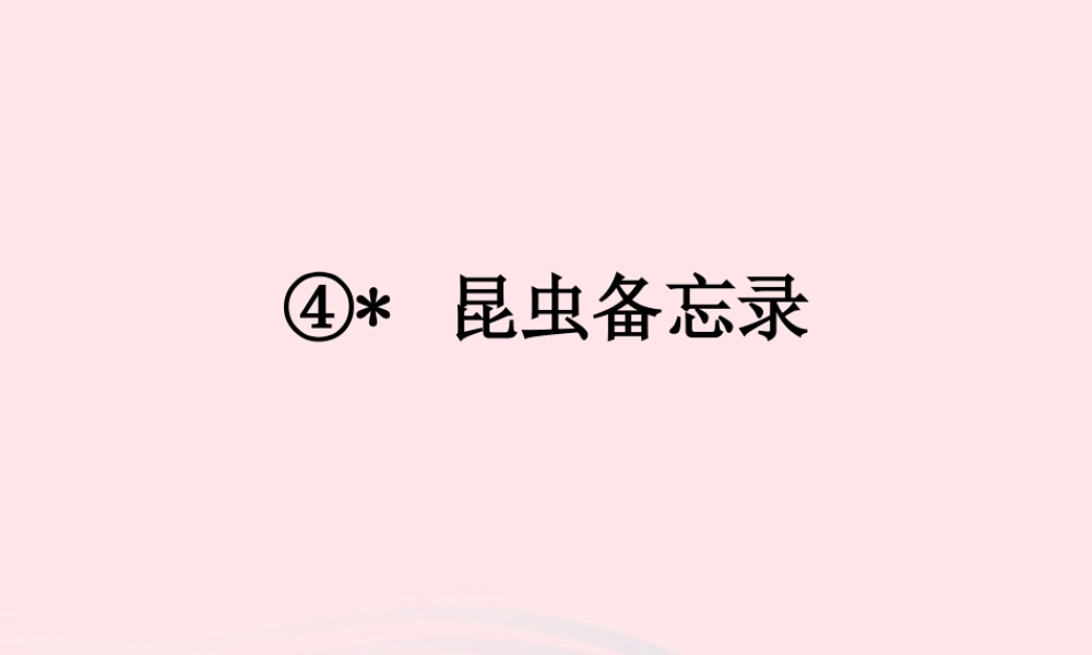 三年级语文下册 第一单元 4《昆虫备忘录》精品课件 新人教版-新人教版小学三年级下册语文课件