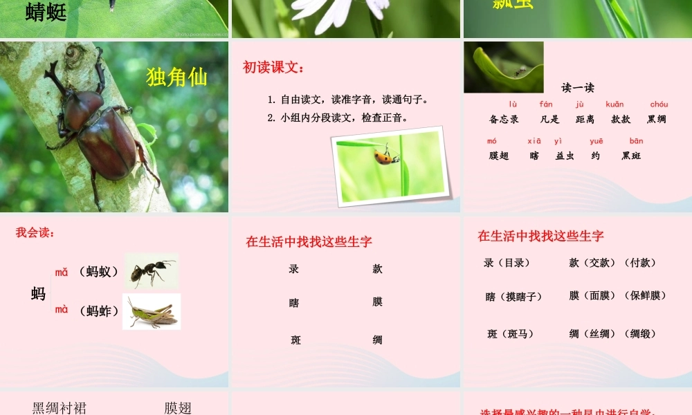 三年级语文下册 第一单元 4《昆虫备忘录》精品课件 新人教版-新人教版小学三年级下册语文课件