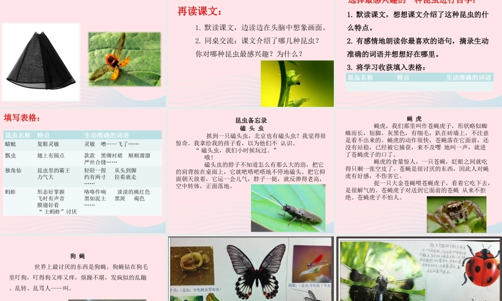 三年级语文下册 第一单元 4《昆虫备忘录》精品课件 新人教版-新人教版小学三年级下册语文课件