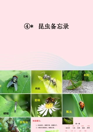 三年级语文下册 第一单元 4《昆虫备忘录》精品课件 新人教版-新人教版小学三年级下册语文课件