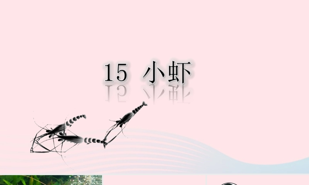 三年级语文下册 第四单元 15《小虾》课堂教学课件1 新人教版-新人教版小学三年级下册语文课件