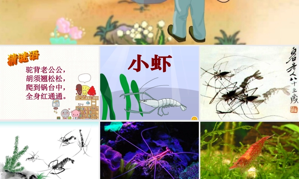 三年级语文下册 第四单元 15《小虾》课堂教学课件2 新人教版-新人教版小学三年级下册语文课件
