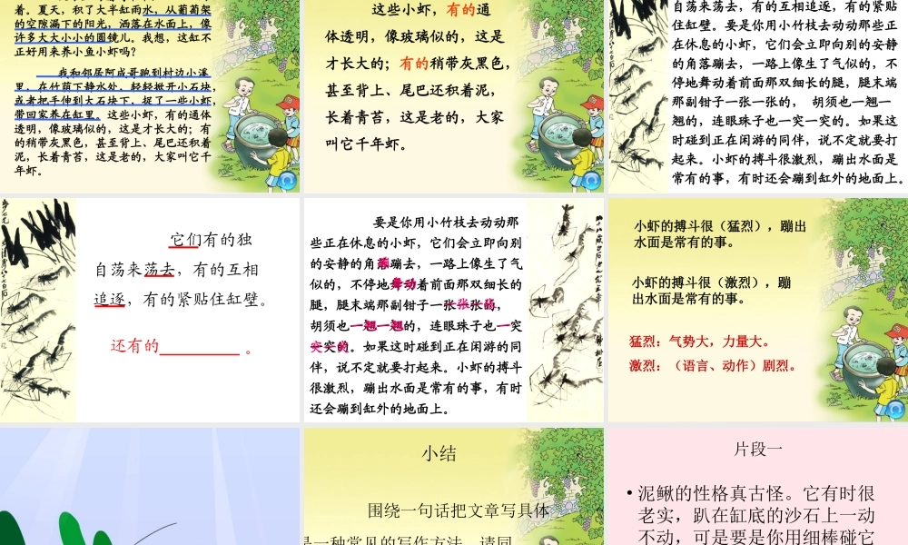 三年级语文下册 第四单元 15《小虾》课堂教学课件2 新人教版-新人教版小学三年级下册语文课件