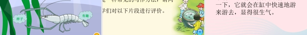 三年级语文下册 第四单元 15《小虾》课堂教学课件2 新人教版-新人教版小学三年级下册语文课件