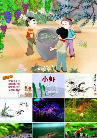 三年级语文下册 第四单元 15《小虾》课堂教学课件2 新人教版-新人教版小学三年级下册语文课件