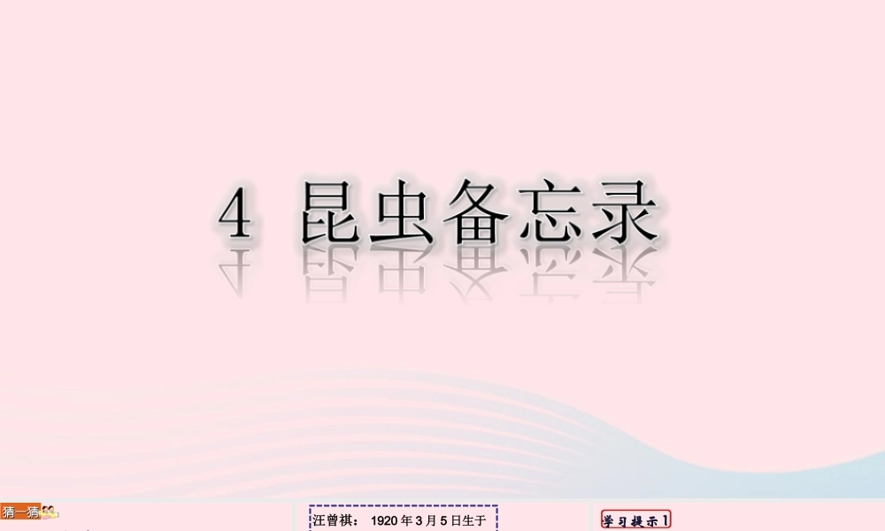 三年级语文下册 第一单元 4《昆虫备忘录》课堂教学课件 新人教版-新人教版小学三年级下册语文课件