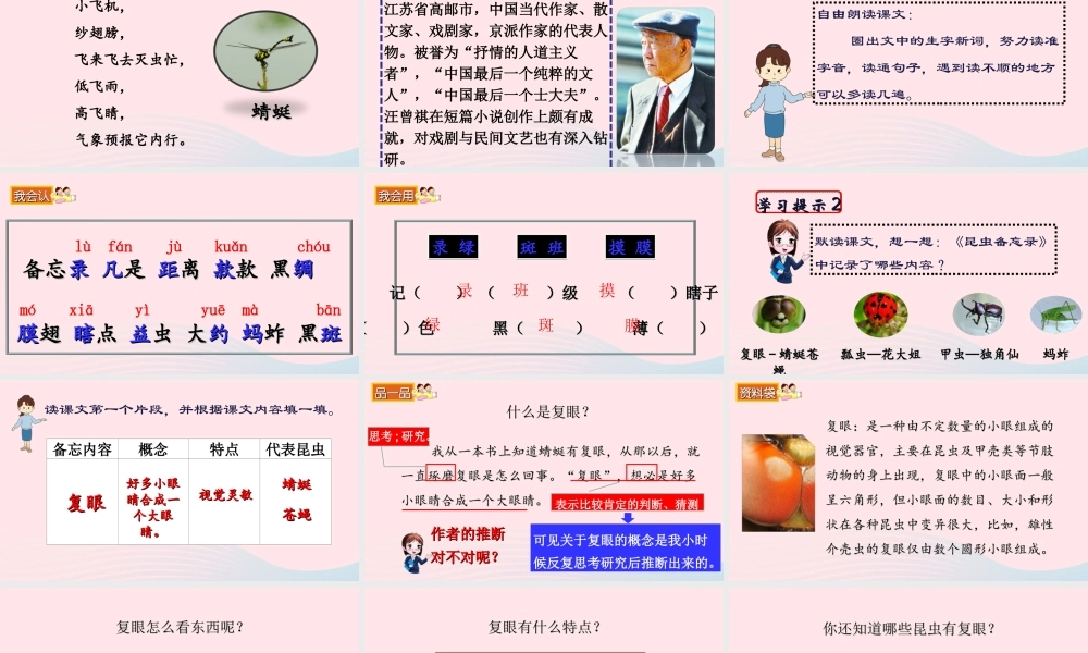 三年级语文下册 第一单元 4《昆虫备忘录》课堂教学课件 新人教版-新人教版小学三年级下册语文课件