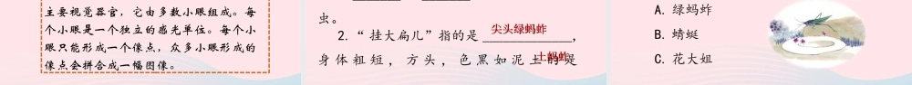三年级语文下册 第一单元 4《昆虫备忘录》课堂教学课件 新人教版-新人教版小学三年级下册语文课件