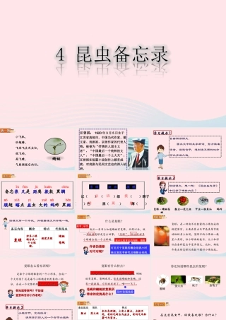 三年级语文下册 第一单元 4《昆虫备忘录》课堂教学课件 新人教版-新人教版小学三年级下册语文课件