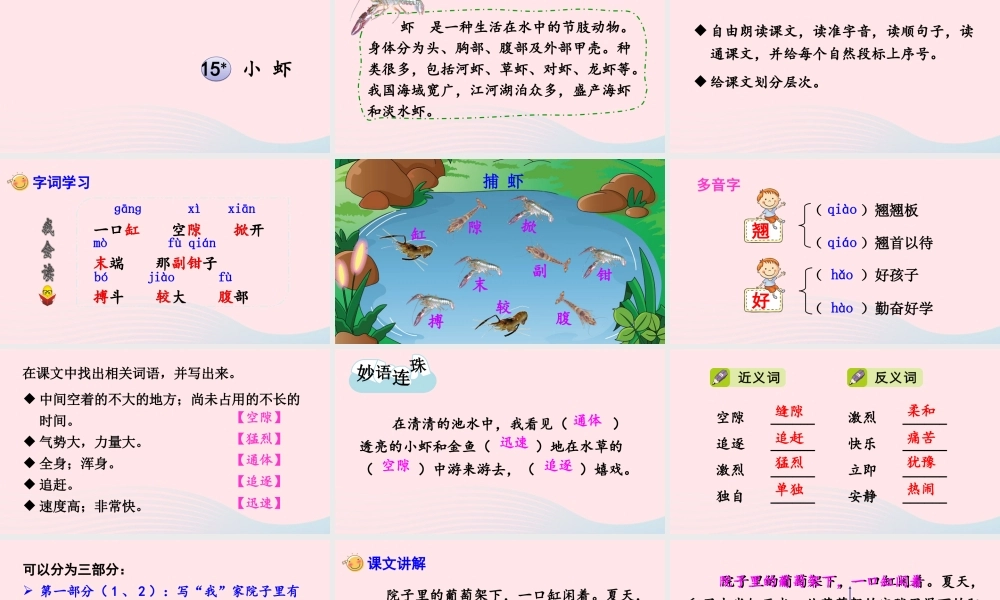 三年级语文下册 第四单元 15小虾课件 新人教版-新人教版小学三年级下册语文课件