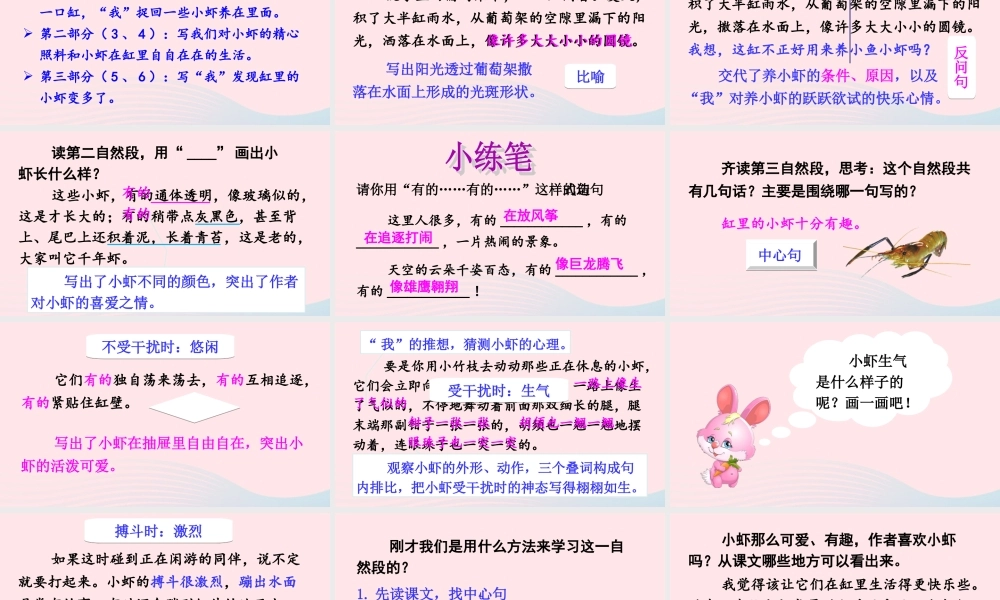 三年级语文下册 第四单元 15小虾课件 新人教版-新人教版小学三年级下册语文课件