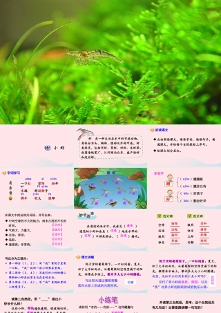 三年级语文下册 第四单元 15小虾课件 新人教版-新人教版小学三年级下册语文课件