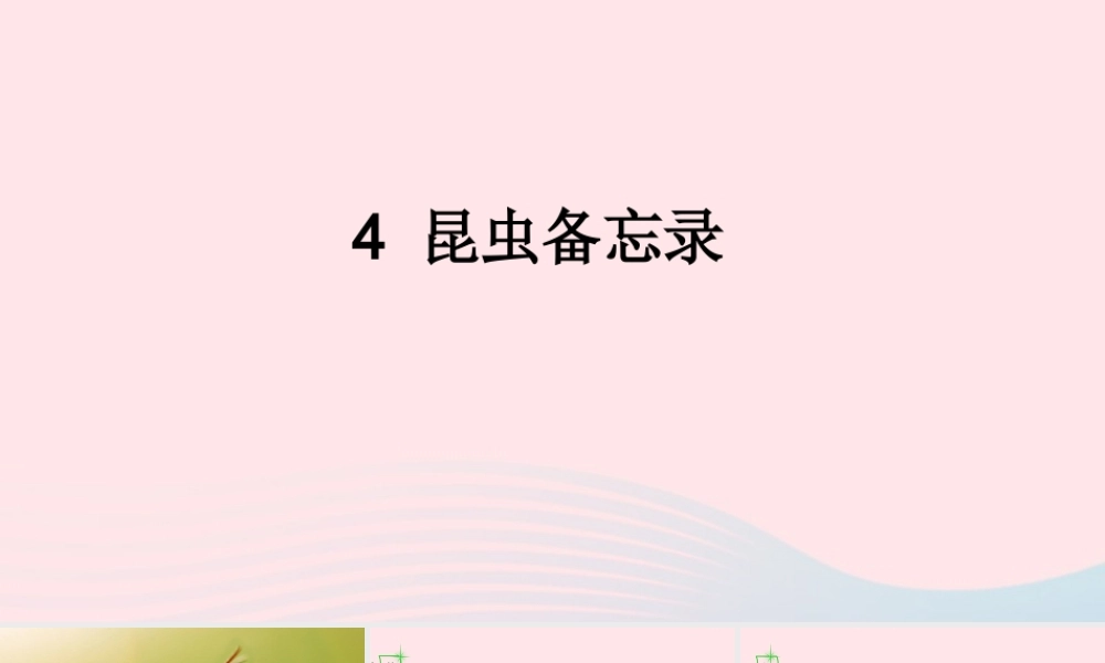 三年级语文下册 第一单元 4《昆虫备忘录》优质课件 新人教版-新人教版小学三年级下册语文课件