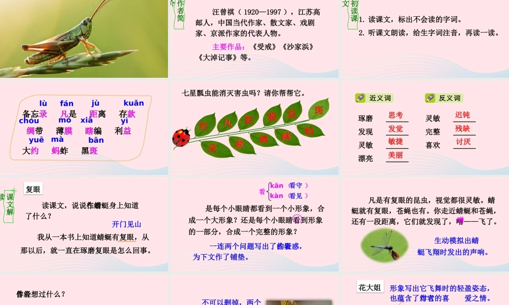 三年级语文下册 第一单元 4《昆虫备忘录》优质课件 新人教版-新人教版小学三年级下册语文课件