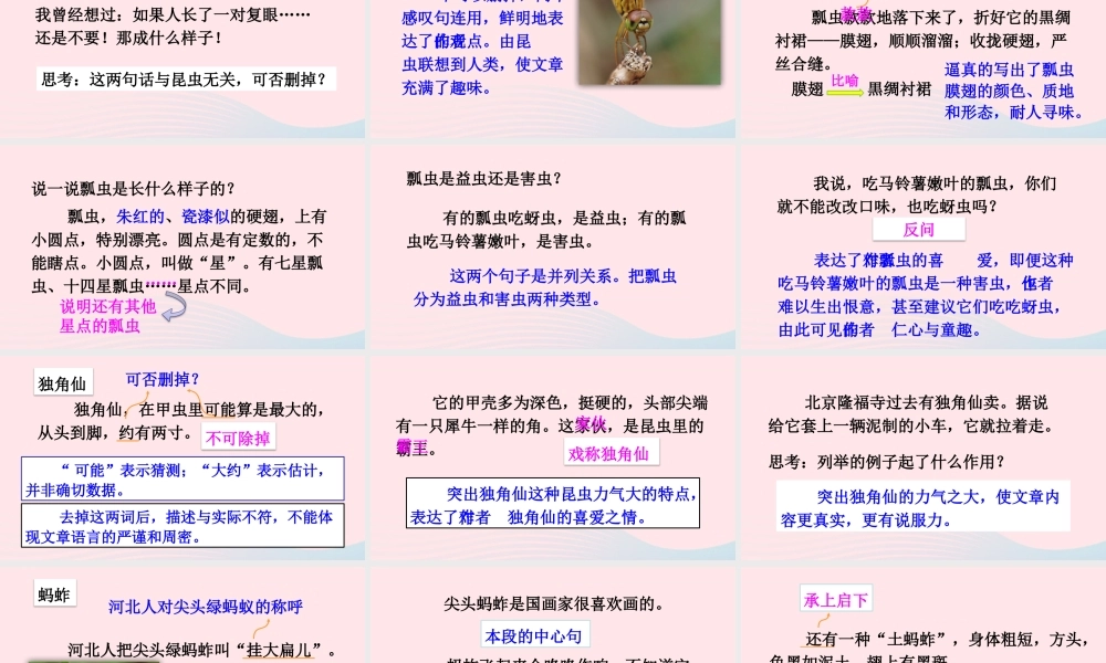 三年级语文下册 第一单元 4《昆虫备忘录》优质课件 新人教版-新人教版小学三年级下册语文课件